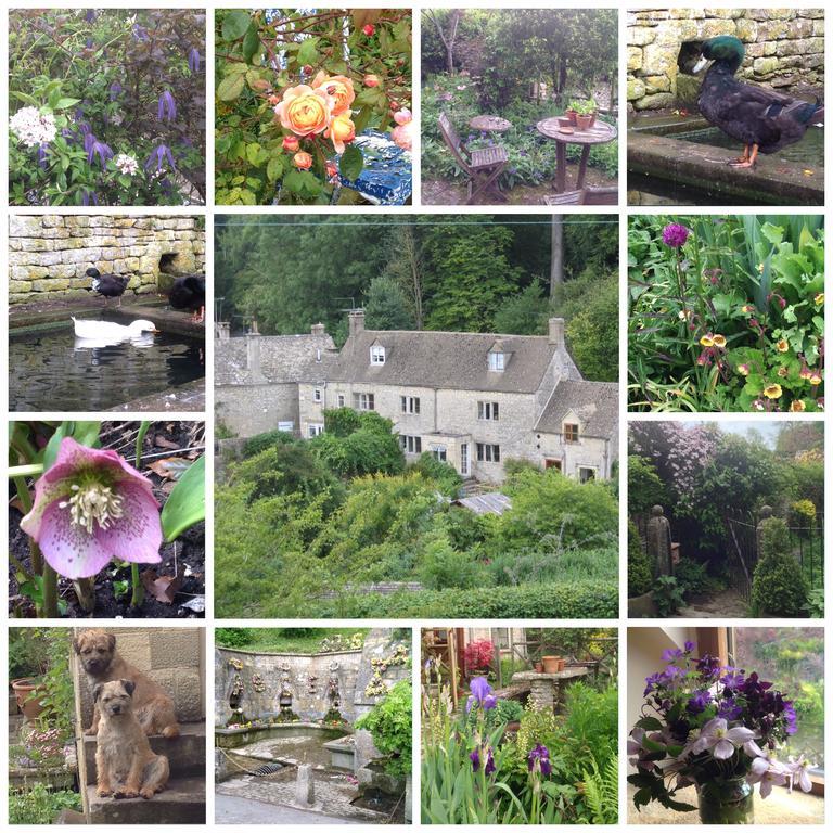 Dove Cottage Bisley  Εξωτερικό φωτογραφία